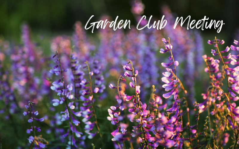 Garden Club Meeting