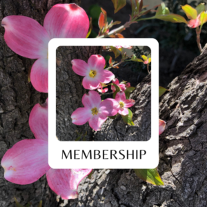 Membership