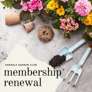 Membership Renewal