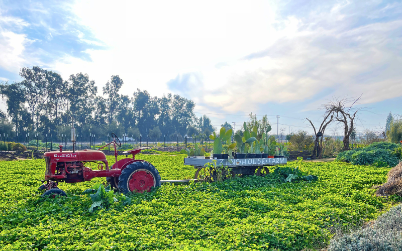 Zinc Farm