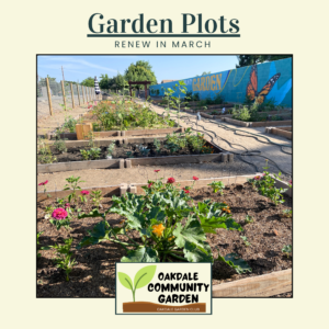 Garden Plot Rental