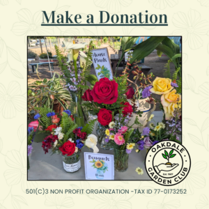 Make A Donation