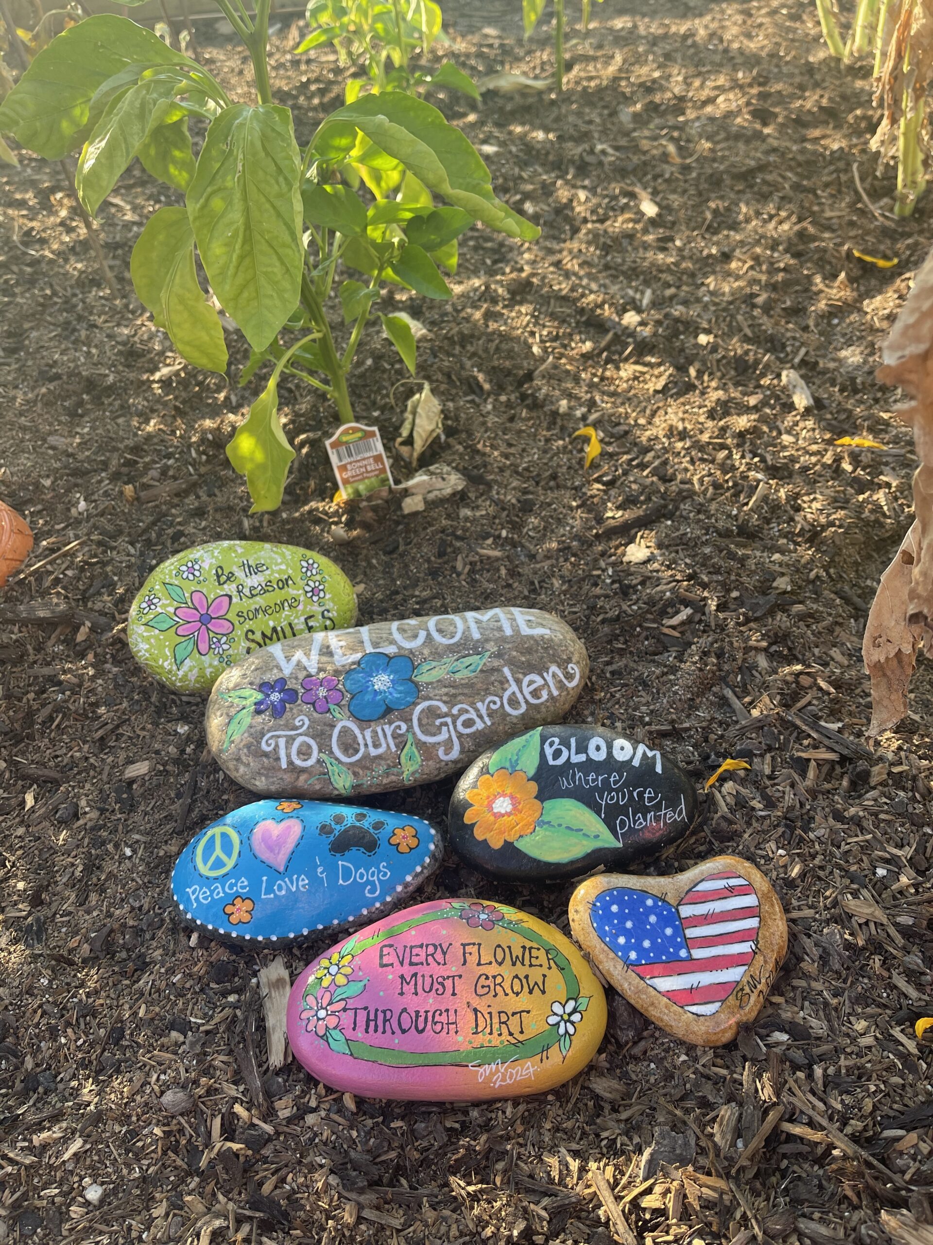 Garden Club Rocks