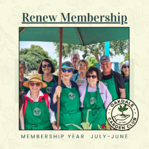 Membership Renewal